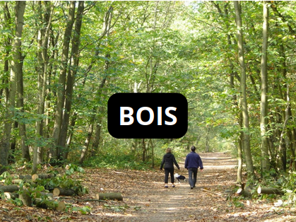 Lien vers la page Bois