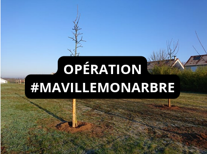 Aller sur la page Opération #MAVILLEMONARBRE
